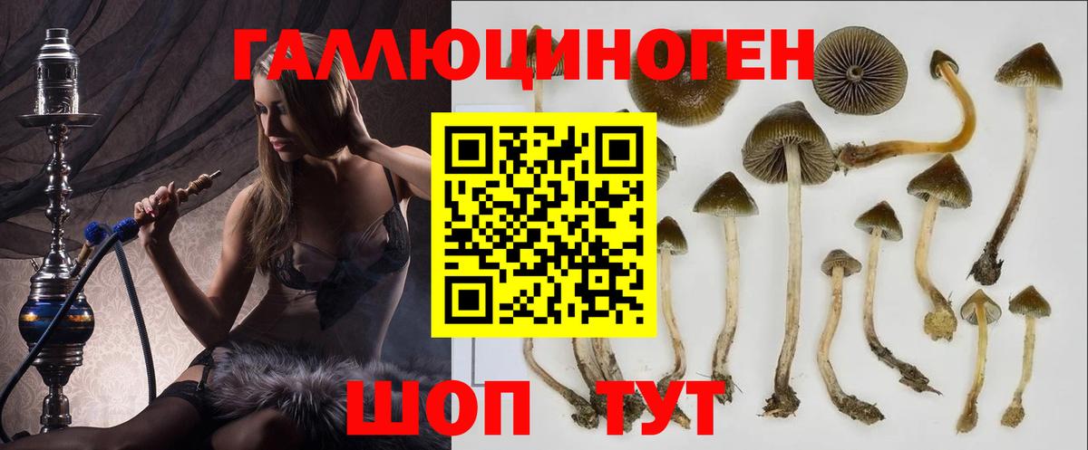 Псилоцибиновые грибы Psilocybine cubensis  Вход с VPN  Псилоцибиновые грибы Magic Shrooms  Рязань 